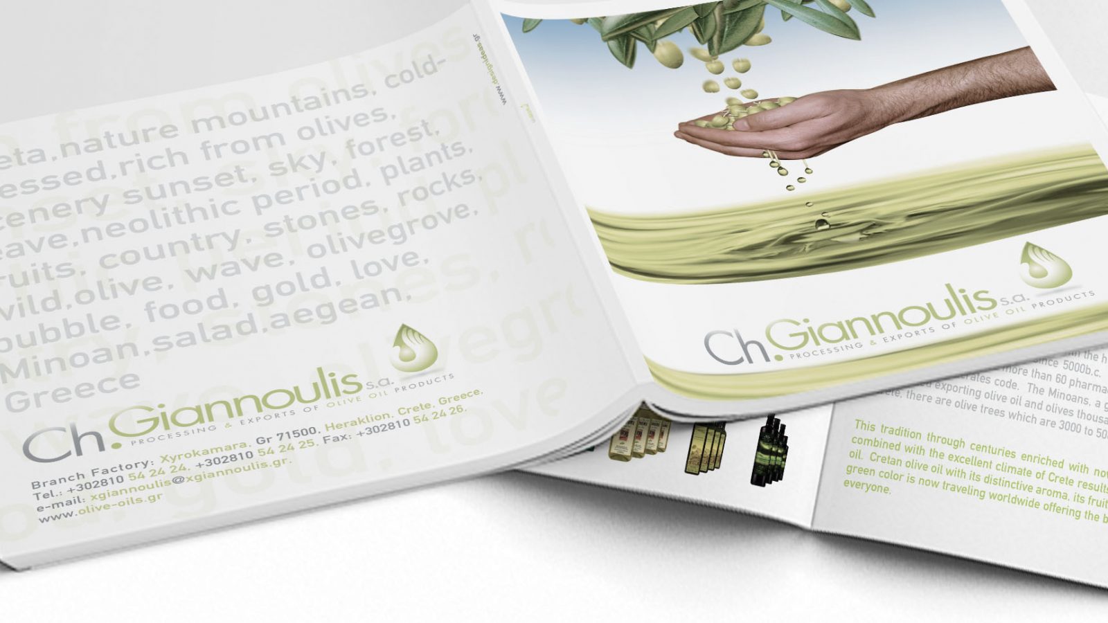 Φιορετζης Δημητρης γραφιστας Logo Branding Packaging Illustration Web Σχεδιασμός Λογοτύπου Συσκευασίας graphic design fioretzis dimitris olive oil package design