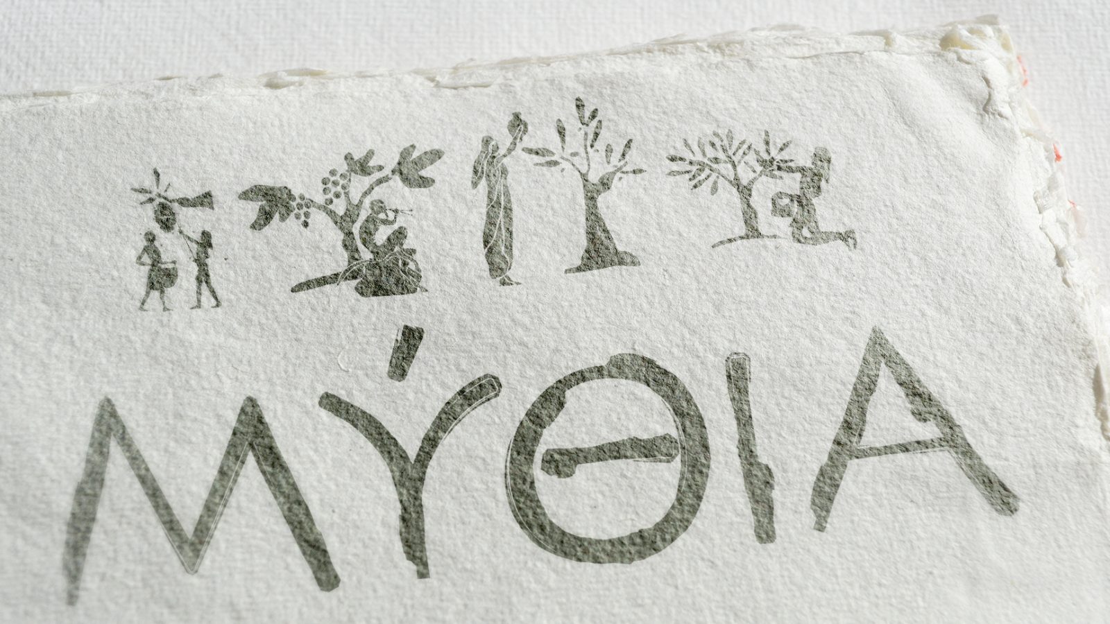 Φιορετζης Δημητρης γραφιστας Logo Branding Packaging Illustration Web Σχεδιασμός Λογοτύπου Συσκευασίας graphic design fioretzis dimitris olive oil package design